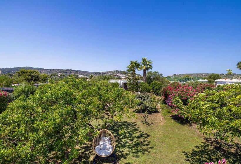 Aria Di Mare Vieste Luxury Apartments By The Sea