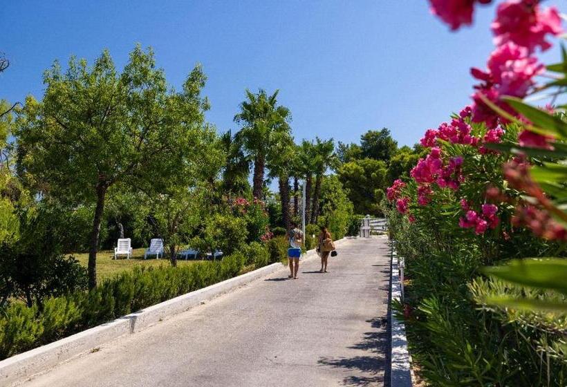 Aria Di Mare Vieste Luxury Apartments By The Sea