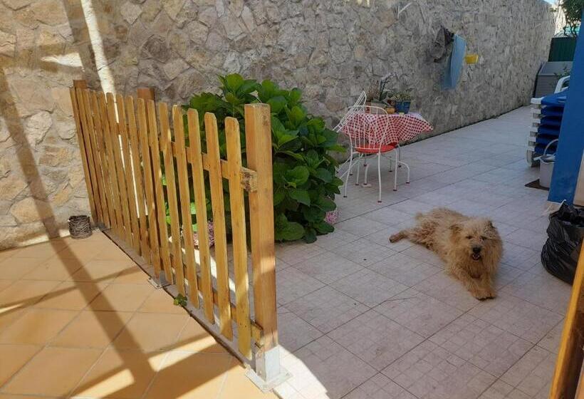 تختخواب و صبحانه Villa Alegria