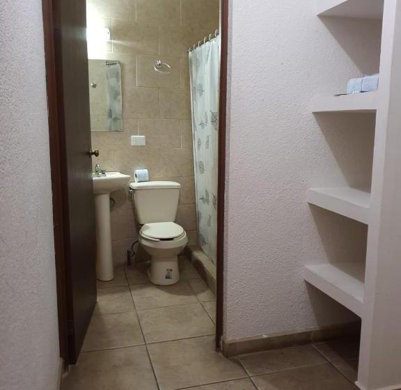 בית מלון כפרי Plaza