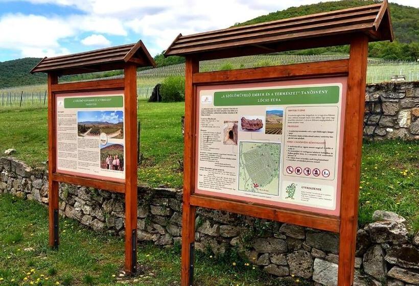 Пансион Bacchus Vendégház