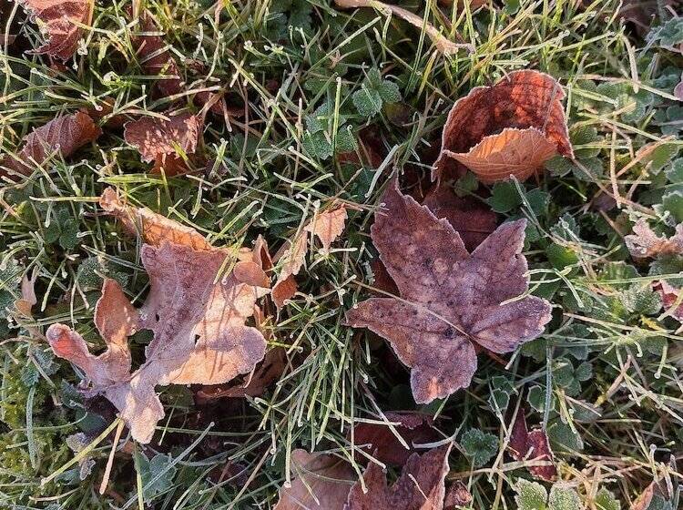 ペンション Domaine Du Val Sauvage