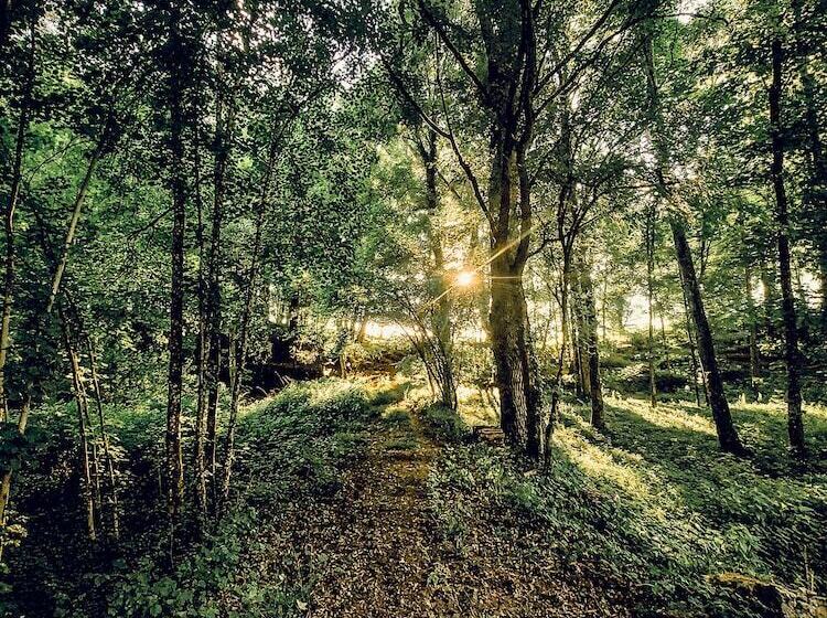 ペンション Domaine Du Val Sauvage