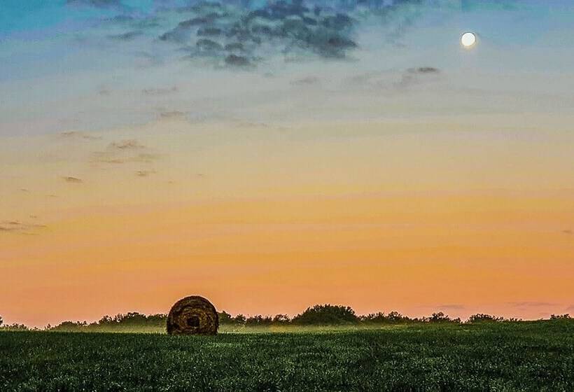 ペンション Domaine Du Val Sauvage