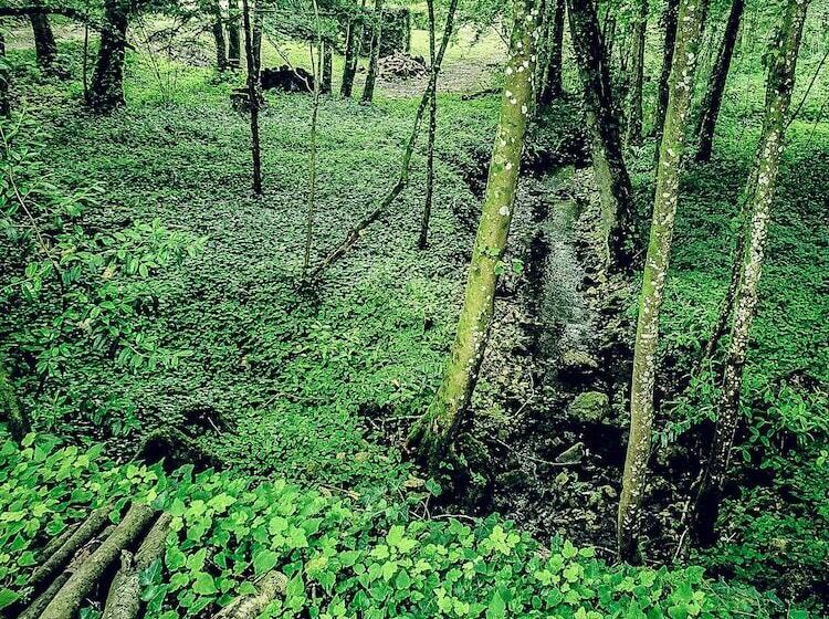 ペンション Domaine Du Val Sauvage