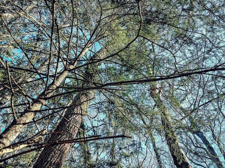 ペンション Domaine Du Val Sauvage