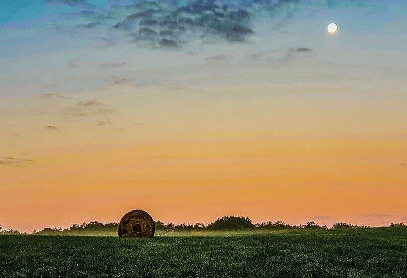 ペンション Domaine Du Val Sauvage