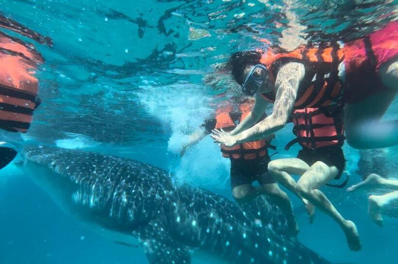 Пансион Kabansoy Haven