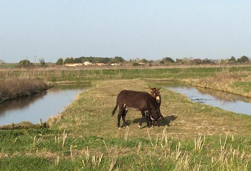 بنسيون Le Clos De La Viniere