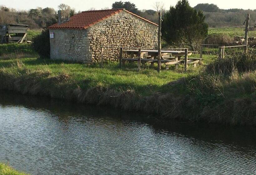 بنسيون Le Clos De La Viniere