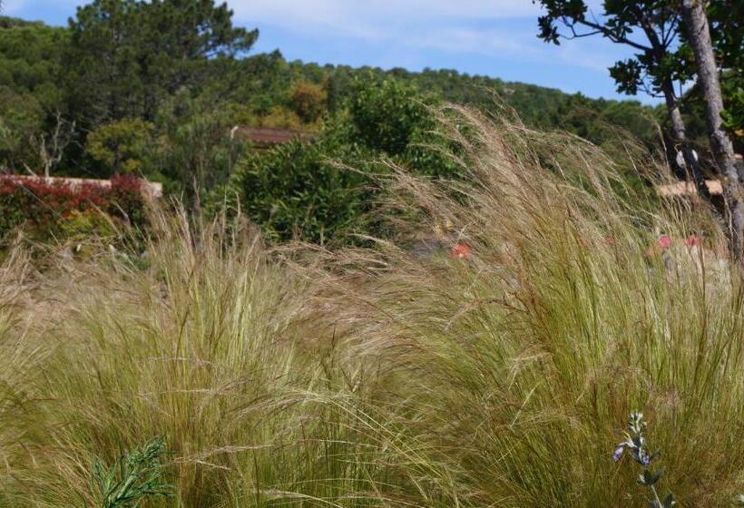 Пансион Les Jardins De Santa Giulia   Charmante Chambre D Hôte 1