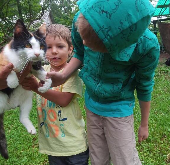 膳宿费 Room In Guest Room Enjoy Your Holiday On Wonder Transylvania