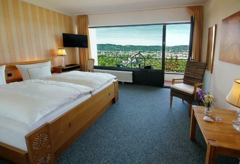 Vintage Hotel Petrisberg