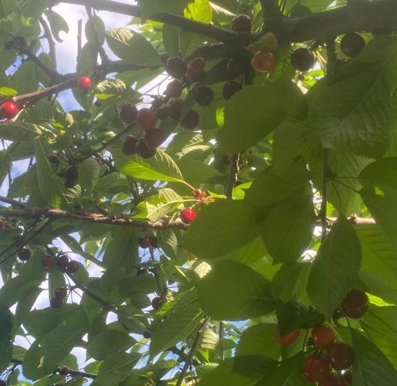 住宿加早餐  Anita