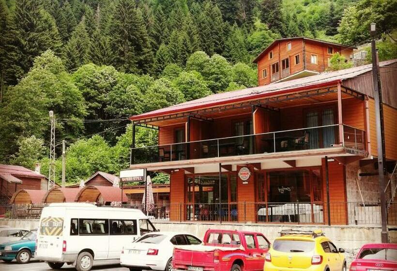 ベッドアンドブレックファースト Ayder Doruk Otel