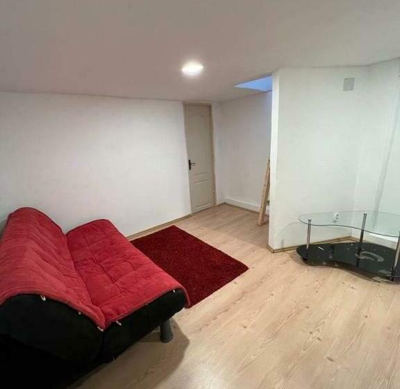 Cristina Cazare Proprietar