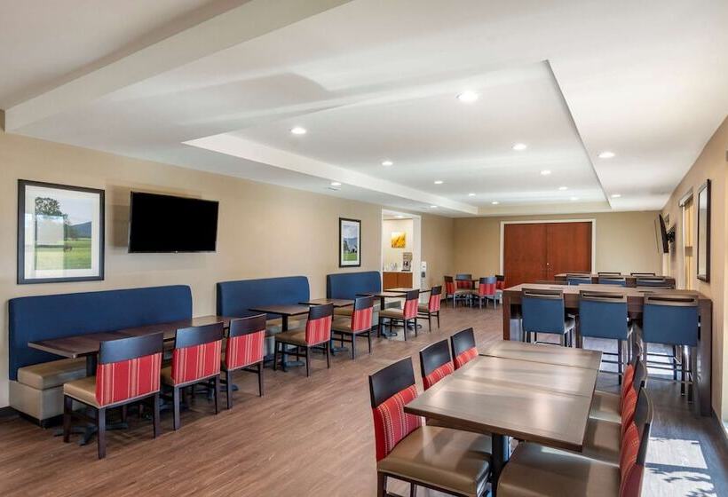 Отель Comfort Inn & Suites