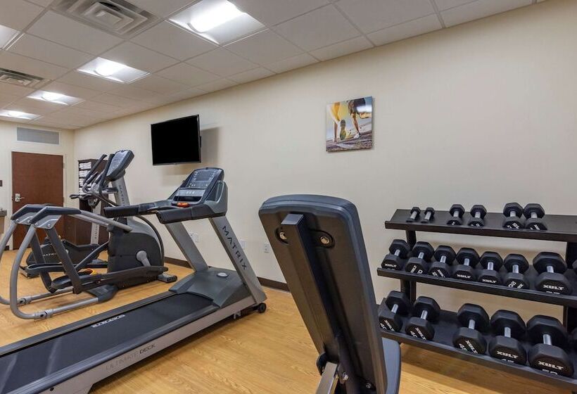 Отель Comfort Inn & Suites