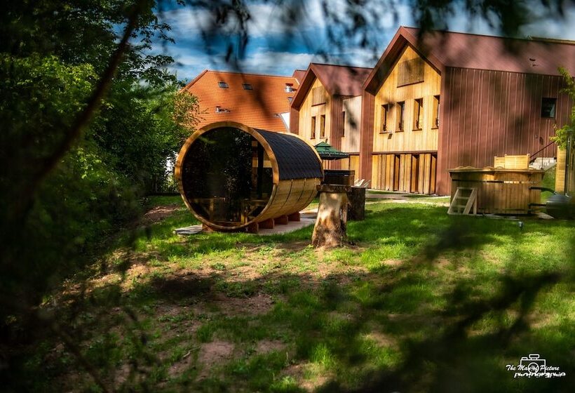 ホテル Logis Hôtel Altitude Et Spa Pierre Percée