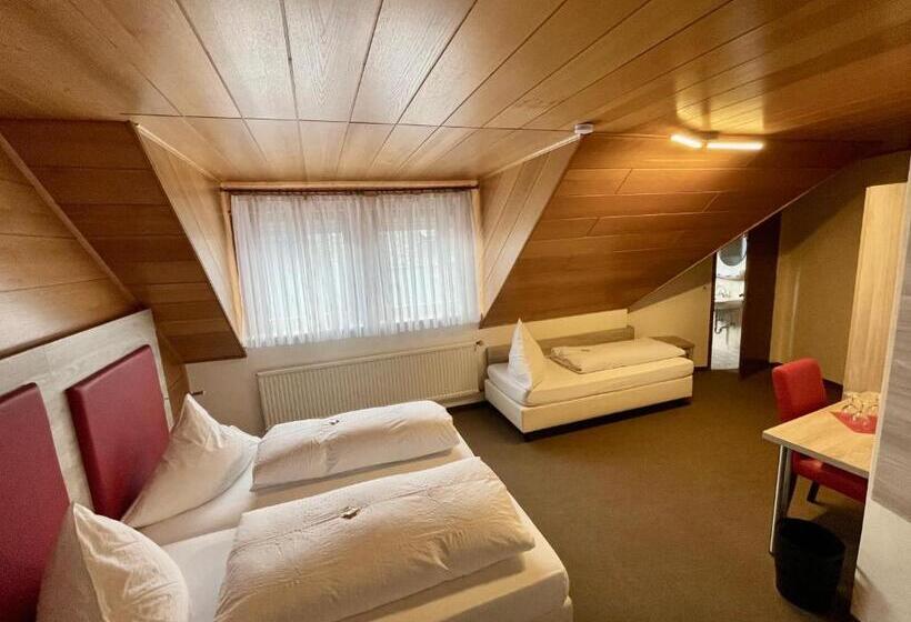 Отель Pension Balthasar