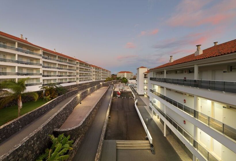 Marinell Collection Palm Mar