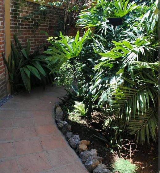 پانسیون Acogedora Habitación Con Baño, Jardín. Muy Céntrica