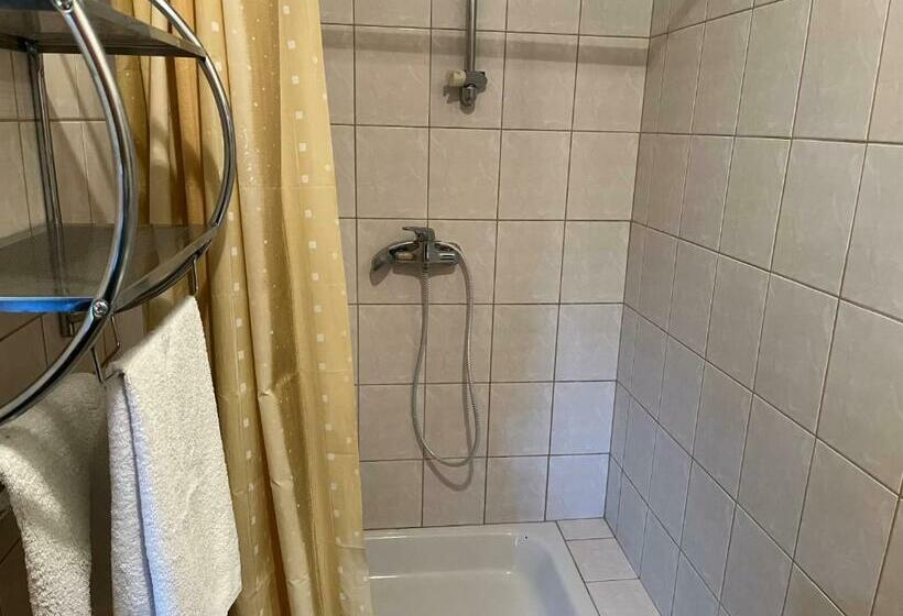 بنسيون Kis Korona Vendégház