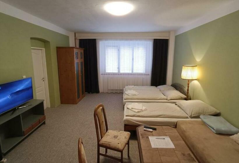 بنسيون Apartmán Horní Slavkov Hodinářství