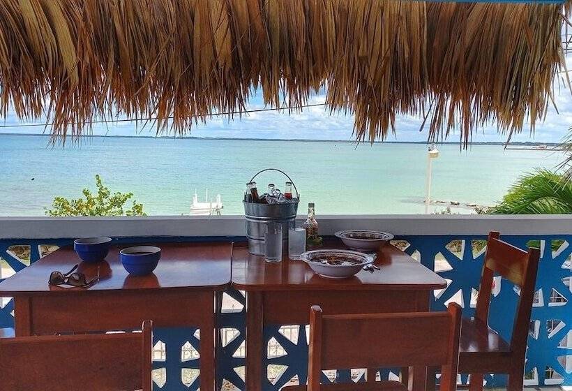 ペンション Martin