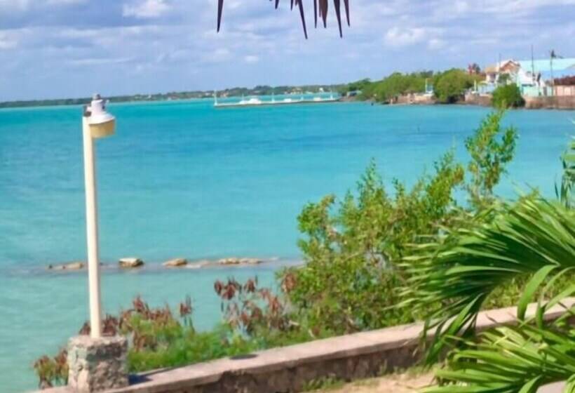 ペンション Martin