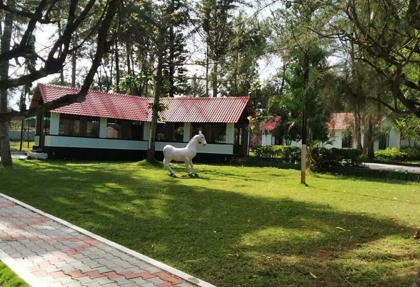 The Wild Fo Rest Resorts