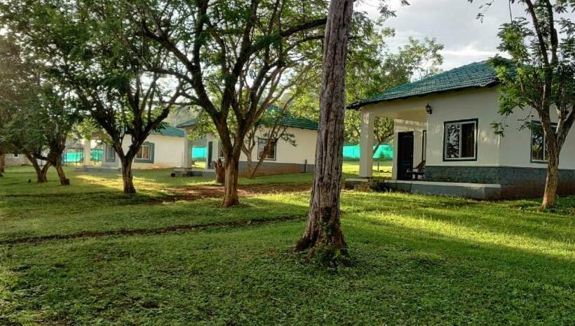 The Wild Fo Rest Resorts