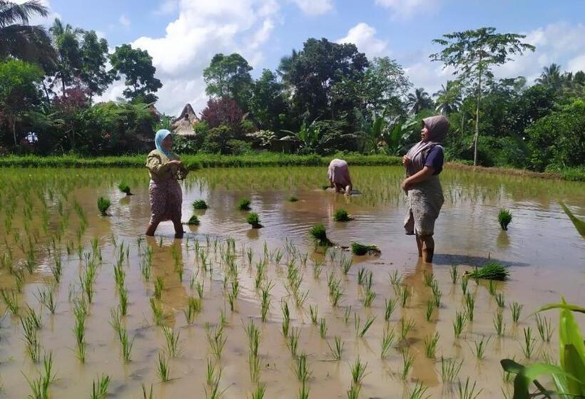 مبيت وإفطار Jaya Homestay