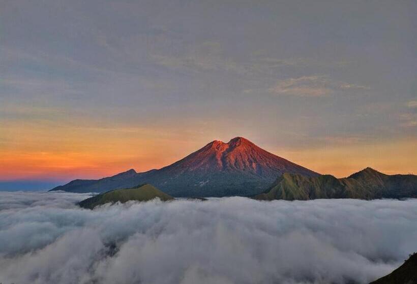 مبيت وإفطار Jaya Homestay