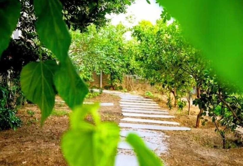 Benjamin Otel Gumusluk