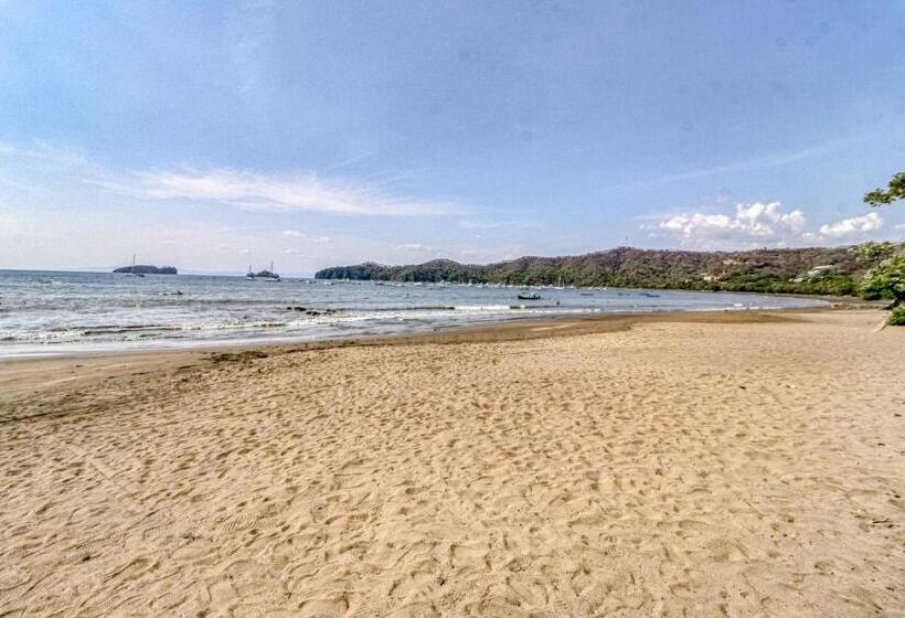 Отель Dulce La Colina 8002