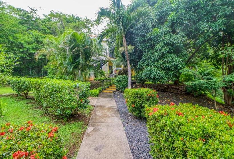 Отель Dulce La Colina 8002