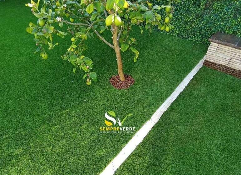 פנסיון Affittacamere Su Padru