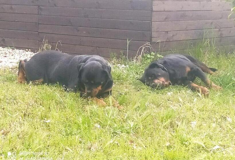 펜션 Antico Palmento Dell Etna