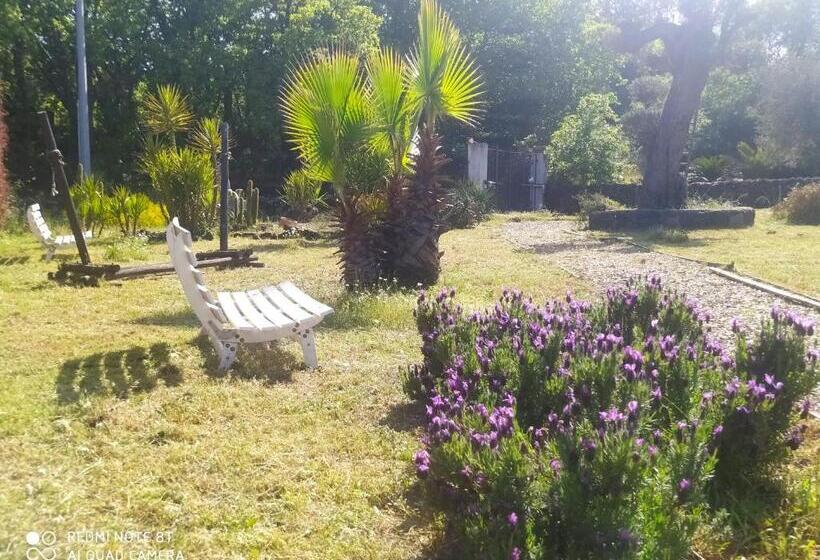 펜션 Antico Palmento Dell Etna