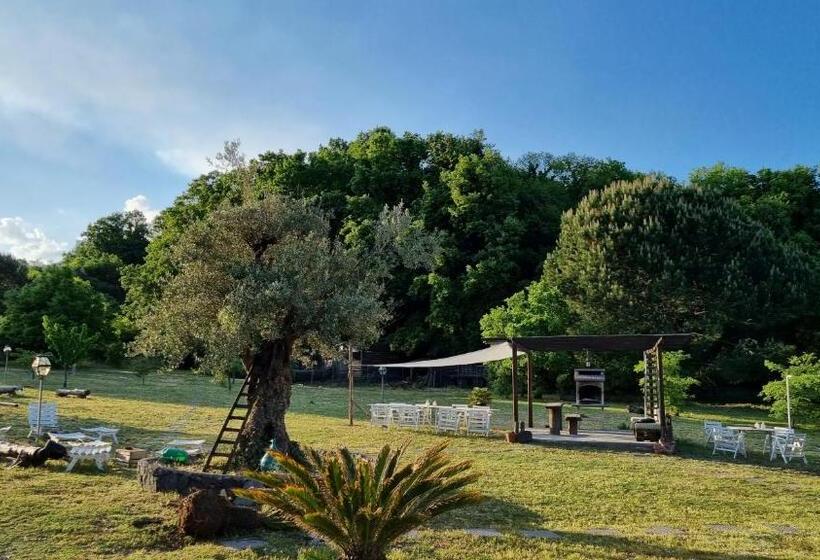 펜션 Antico Palmento Dell Etna