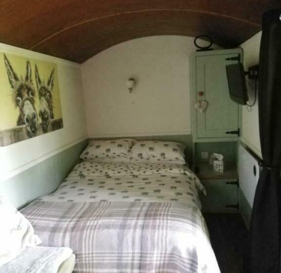بنسيون Durham Donkey Rescue Shepherd S Hut