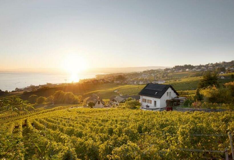 Пансион #lavaux