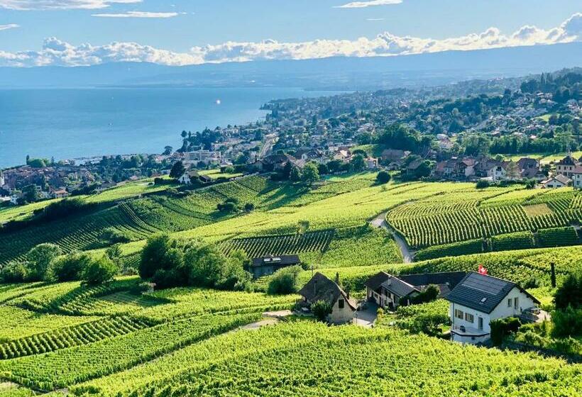 Пансион #lavaux
