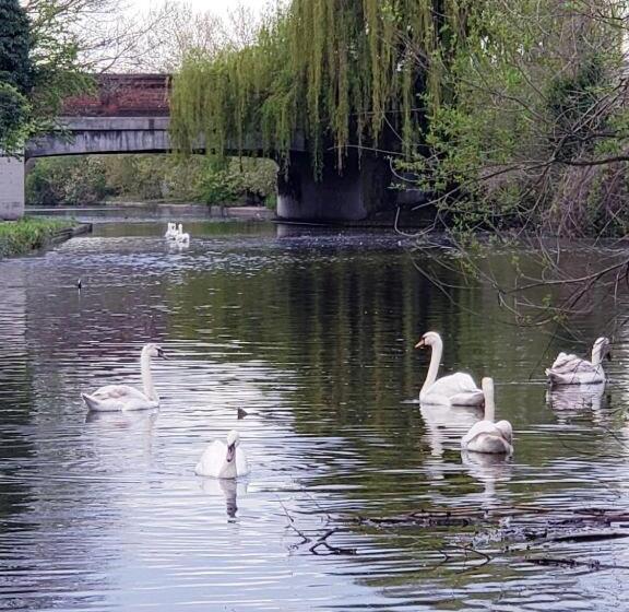 펜션 Vibrant Single Room Only For One Adult