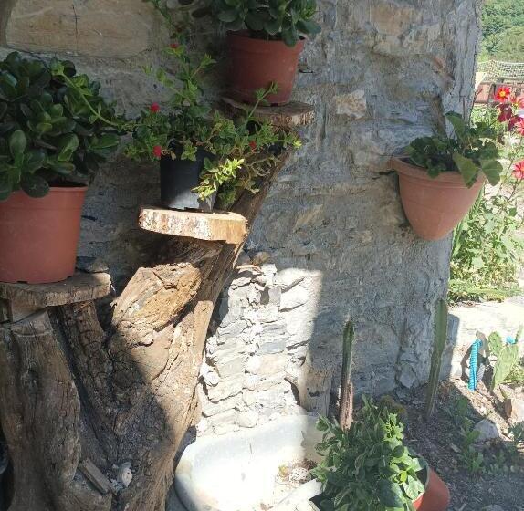 مبيت وإفطار Lotus Flower