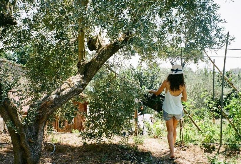 צימר Nostos Casale