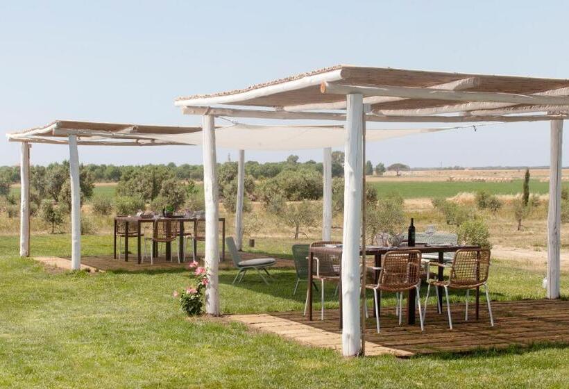 هتل Casale Oliveta