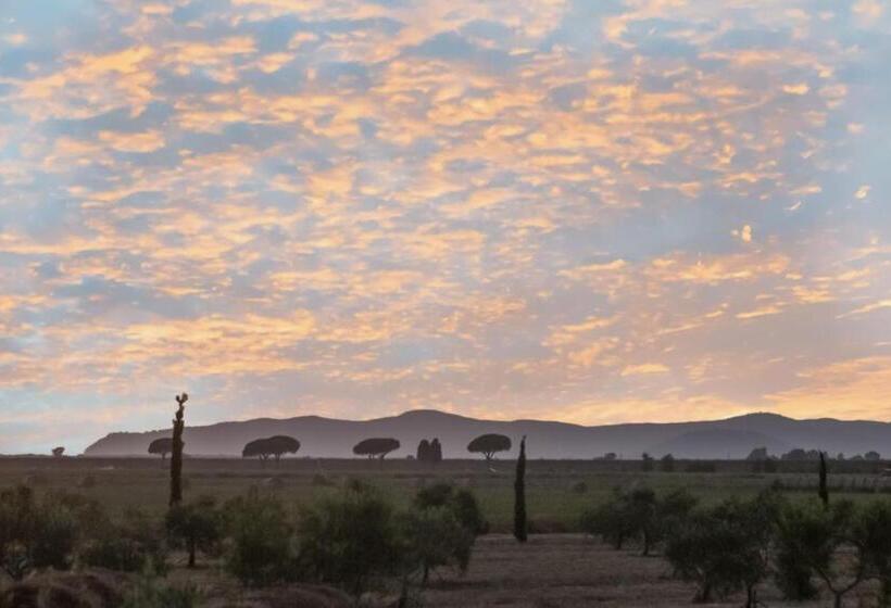 هتل Casale Oliveta