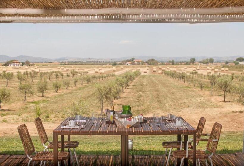 هتل Casale Oliveta